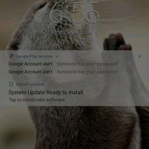 Meet your Posher, Jaylen